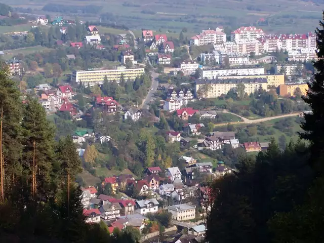 Szczawnica, Widok z Palenicy