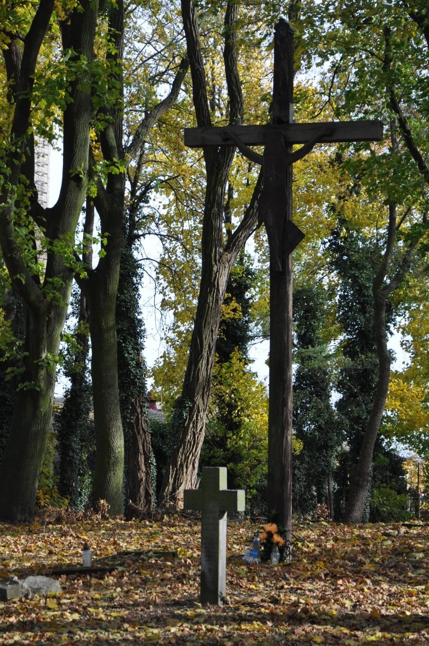 Blisko 230 lat historii. Cmentarz ewangelicki to jedno z najbardziej wartościowych historycznie miejsc w Pleszewie