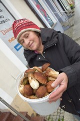 Ależ mamy sezon grzybowy! Nasi czytelnicy chwalą się zbiorami. Zachęcamy kolejnych