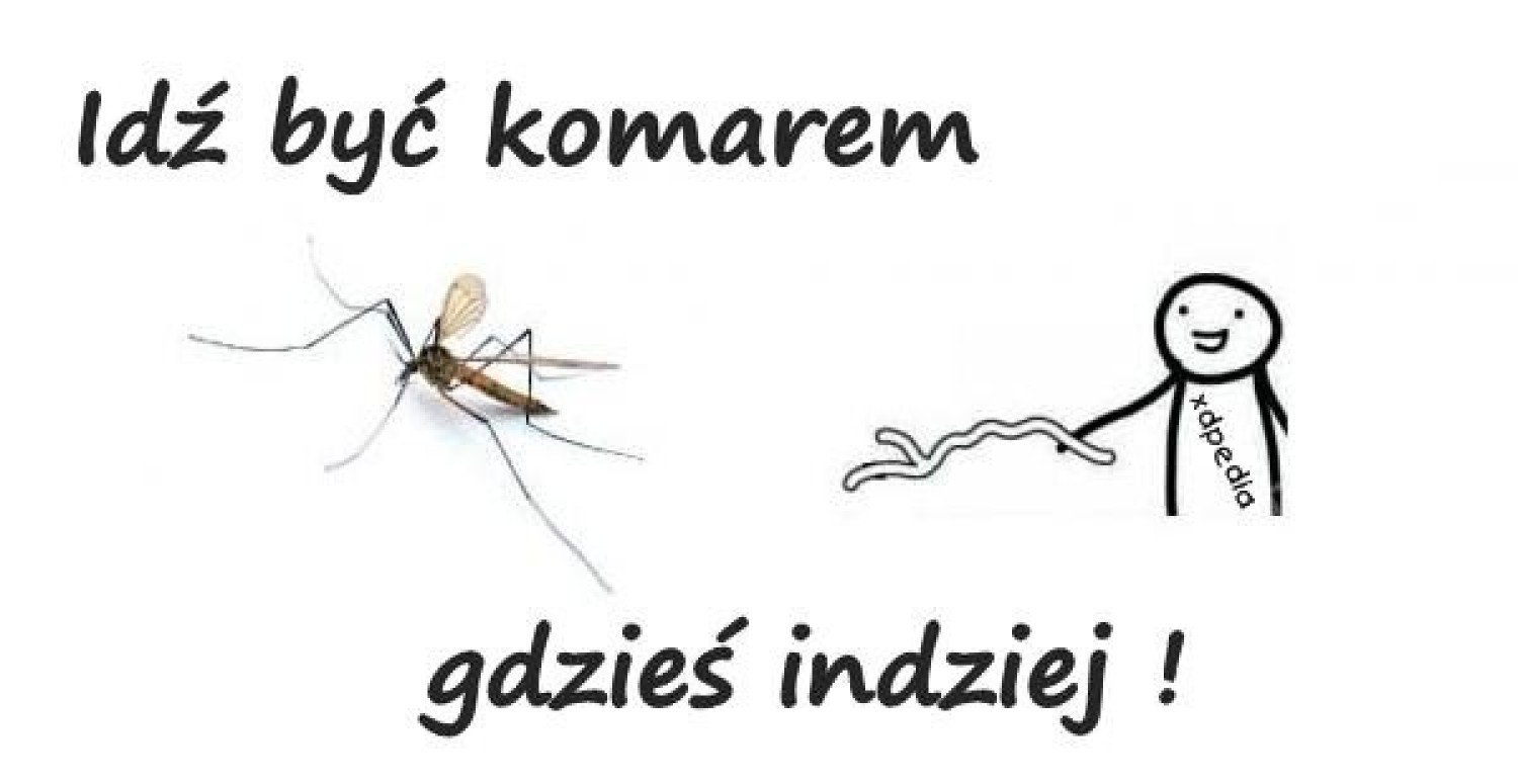 Bzzzzz, śpisz? Z chęcią polatam Ci nad uchem!" Dzień Komara 2020 ...