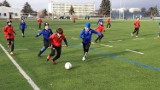 W nyskiej podstawówce będzie działać klasa piłkarska pod okiem szkoleniowców Polonii