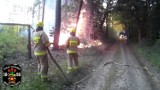 Groźny pożar lasu w okolicach Sielinka. Ogień szybko się rozprzestrzeniał [ZDJĘCIA] 
