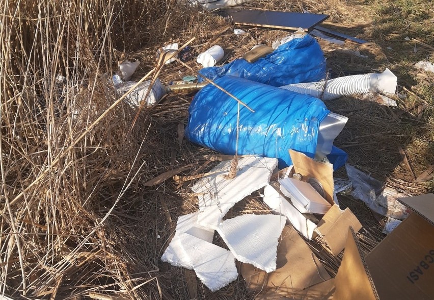 Śmieci wyrzucono na polu w Kuniowie.