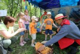 Piknik Europejski w Parku Zielona. Udana zabawa na Dębowym Maj Festiwalu w Dąbrowie Górniczej