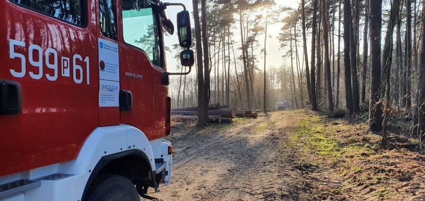 Straż pożarna apeluje - stop pożarom traw! Ostatnio spłonęły 2 hektary łąki [FOTO]