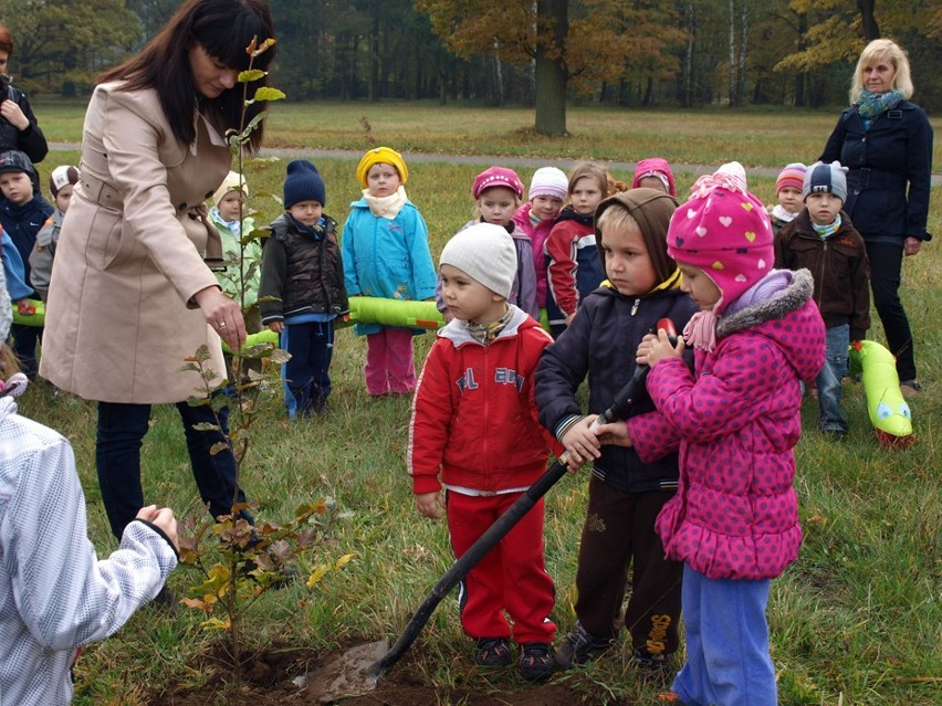 Przdszkolaki sadzą drzewo pokoju w Świerklańcu