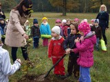 Drzewo pokoju w Świerklańcu zasadziły przedszkolaki
