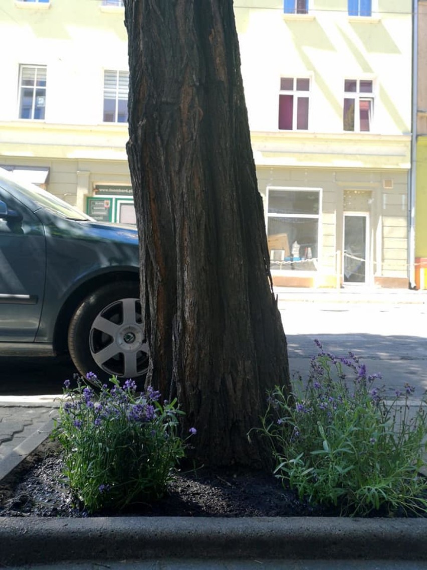 Tomasz Rybak z kuzynem zmyli na ul. Dworcowej bohomazy ze...