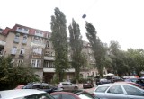 Co z wiszącą gałęzią przy ulicy Śląskiej w Szczecinie? Na szczęście zostanie usunięta