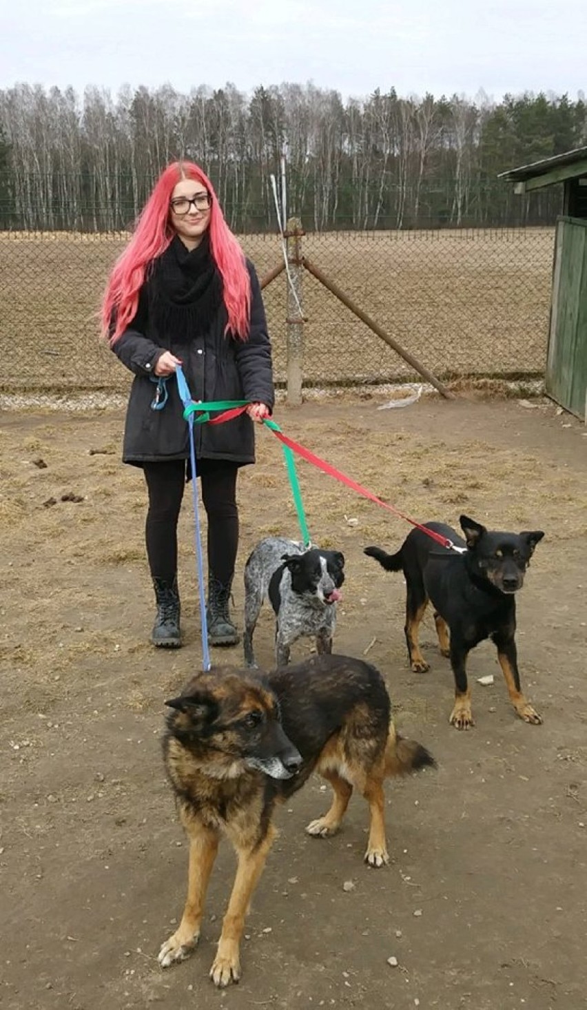 Wiosenne spacery w schronisku dla psów w Złotowie