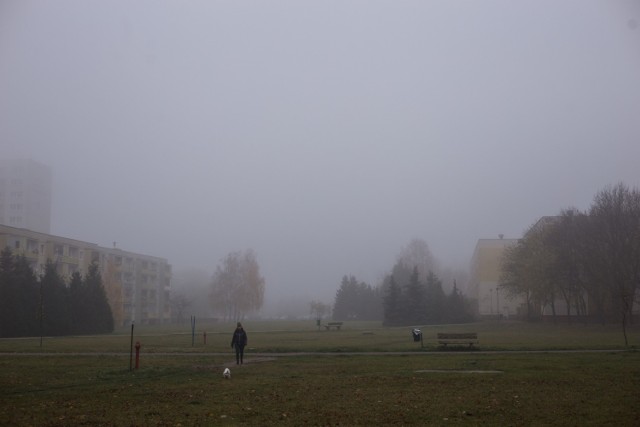 W niedzielę, 14 listopada lepiej pozostać w domu. Poznań został spowity przez mgłę i smog. O jakości powietrza w Poznaniu informują stacje pomiarowe. W Poznaniu obowiązuje też zakaz palenia w kominkach i innych piecach, które nie spełniają stosownych norm. Zakaz spowodowany jest słabą jakością powietrza w stolicy Wielkopolski. Według prognoz stężenie pyłu zawieszonego PM10 w Poznaniu będzie wynosić 84 mikrogramów na metr sześcienny.

Zobacz zdjęcia spowitego mgłą miasta -->