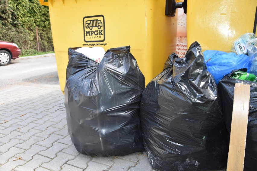 Podwyżka za śmieci wejdzie w życie od 1 sierpnia