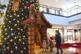 Galeria Echo w Kielcach gotowa na Święta Bożego Narodzenia. Cała w pięknych ozdobach! Zobaczcie zdjęcia 