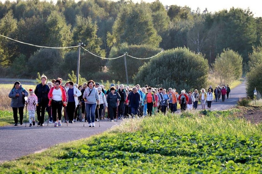 IV Powiatowy Rajd Nordic Walking w Gorzkowicach