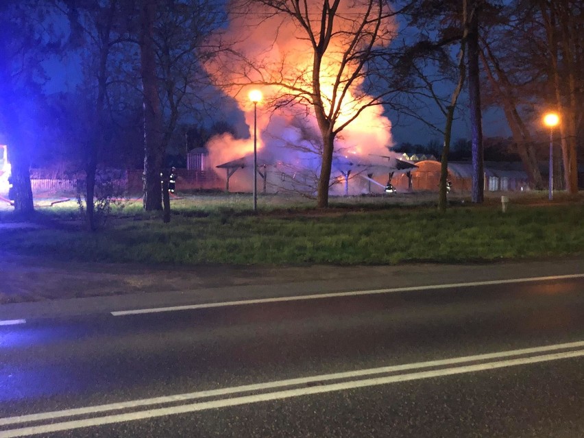 Pożar w Opatówku. Spłonął drewniany bar. To było podpalenie. ZDJĘCIA