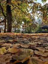Jesienny Człuchów i okolice w waszym obiektywie - spacerowe zdjęcia czytelników