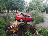 Nawałnica w Łódzkiem! Połamane drzewa, zniszczone samochody! Wystarczyło kilka minut. ZDJĘCIA