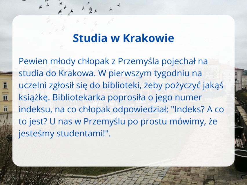 Studia w Krakowie...