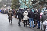 Ogromna kolejka zielonogórzan ustawiła się w sobotę na parkingu przy urzędzie miasta