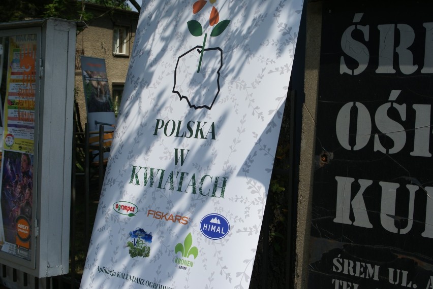 "Polska w kwiatach" ŚOK
