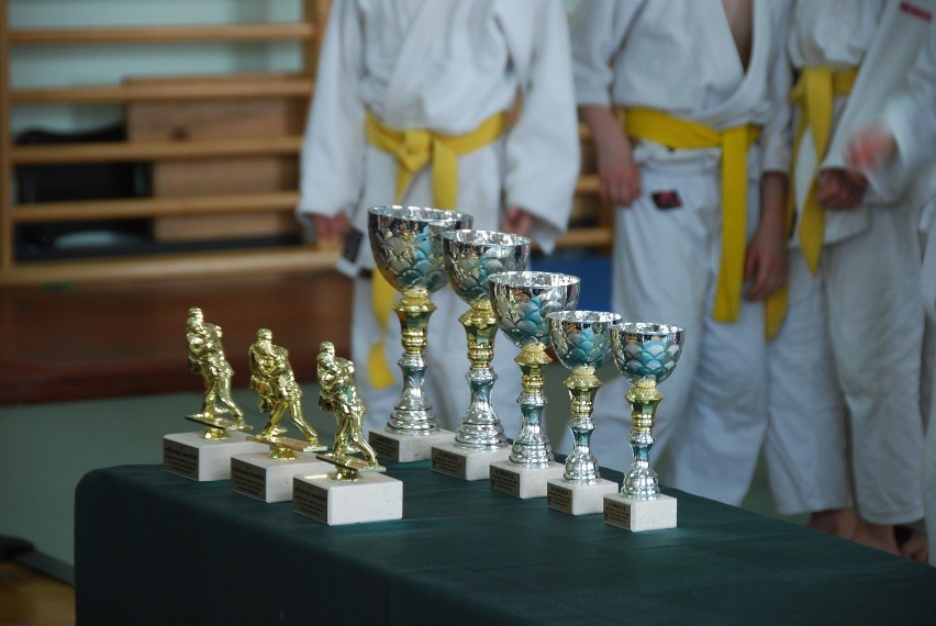 I Drużynowy Turniej Dzieci w Judo: Wisła najlepsza w Wierzchosławicach