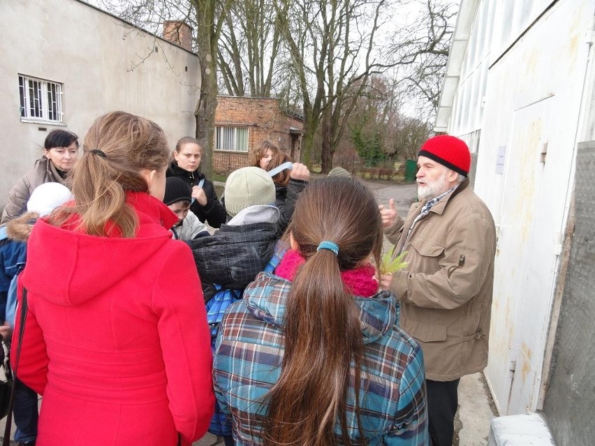 Poznań: Noc Biologów w Ogrodzie Botanicznym [ZDJĘCIA, WIDEO]