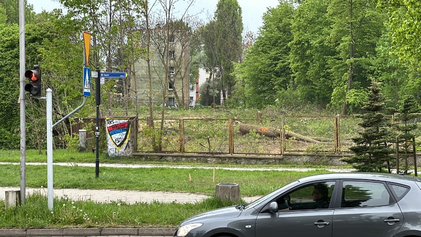 Burza w Częstochowie. Wycięto drzewa w pobliżu szpitala na Tysiącleciu