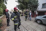 Ewakuacja ulicy Dunikowskiego w Zielonej Górze. Szaleniec groził wysadzeniem domu w powietrze [ZDJĘCIA]