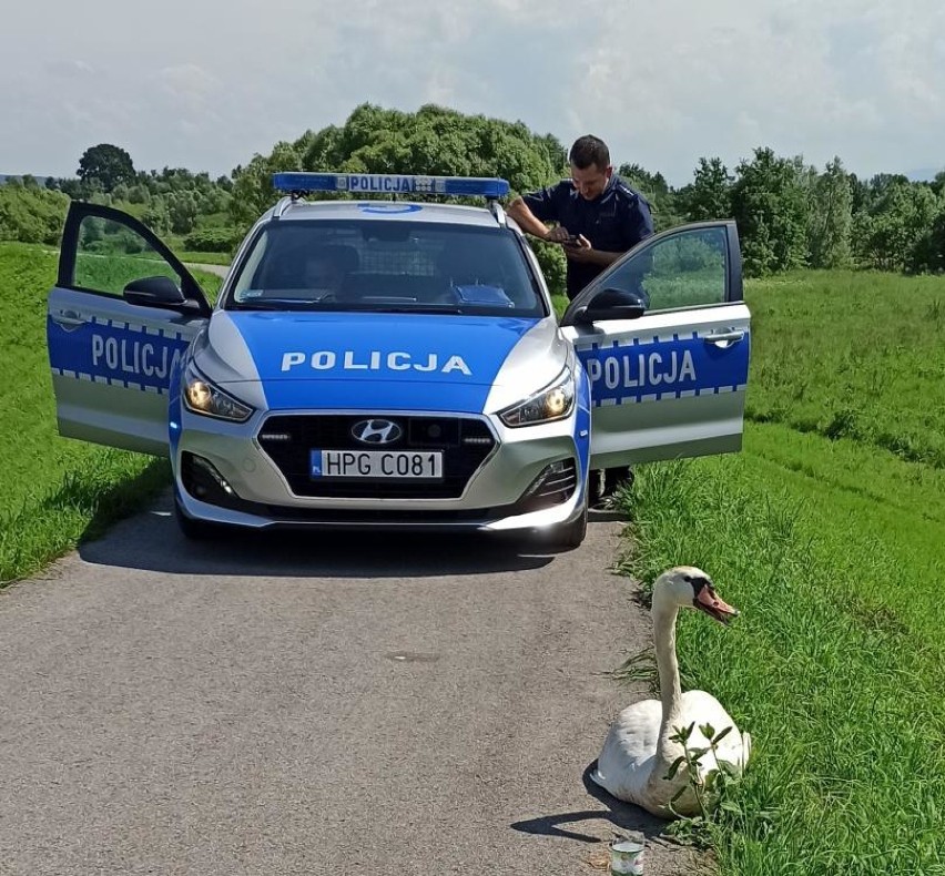 Ptaka ratowali policjanci
