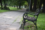 Park Górniczy w Tychach: Przestrzeń, natura, plac zabaw ZDJĘCIA