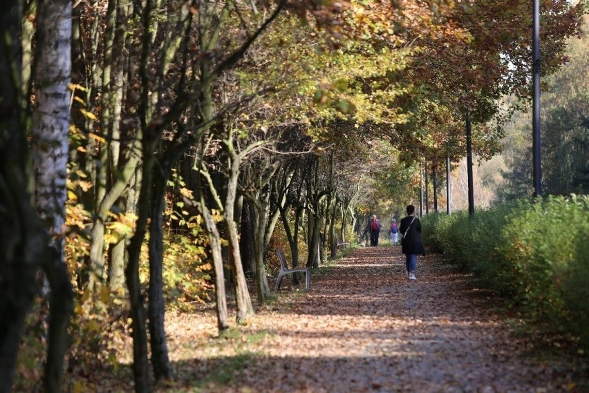 Dolina Trzech Stawów w Katowicach