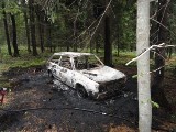 Naściszowa: podpalając skradziony samochód podpalili też las [ZDJĘCIA]