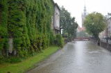 Gdańsk. Wysoki poziom wody w Raduni [ZDJĘCIA]