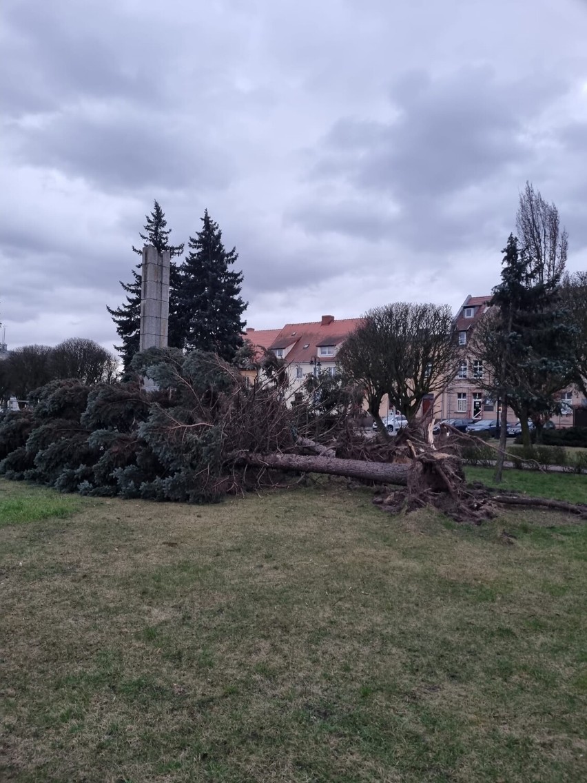 Wichury nad powiatem międzychodzkim wyrządził ogromne szkody...