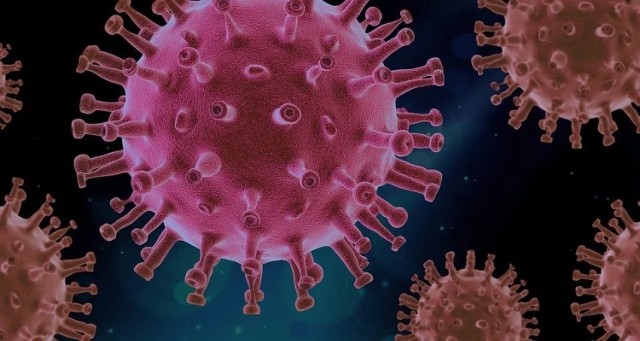 26 sierpnia odnotowano jeden nowy przypadek koronawirusa w powiecie sępoleńskim