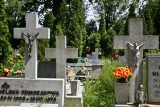 Wrocław: Znajdź groby bliskich przez internet (WYSZUKIWARKA)