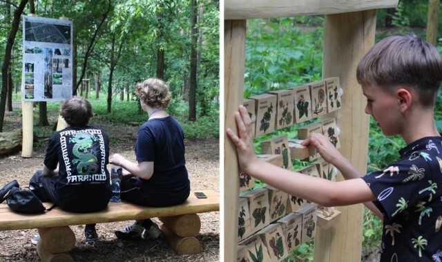 Park Orderu Uśmiechu w Kędzierzynie-Koźlu to fantastyczne miejsce do wypoczynku i relaksu.