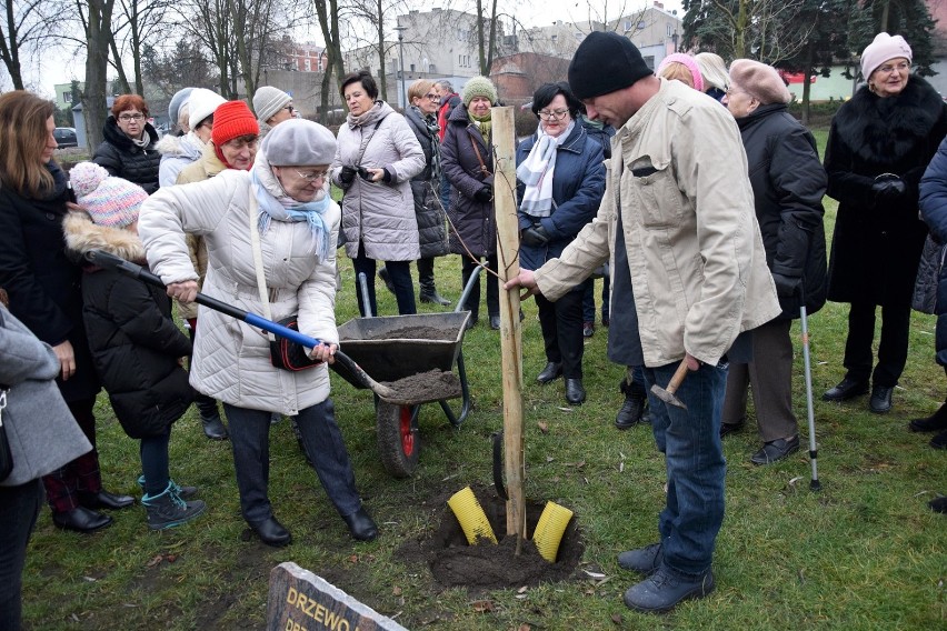 Drzewo Kobiet w Chodzieży na pamiątkę 100. rocznicy uzyskania praw wyborczych przez Polki (FOTO)