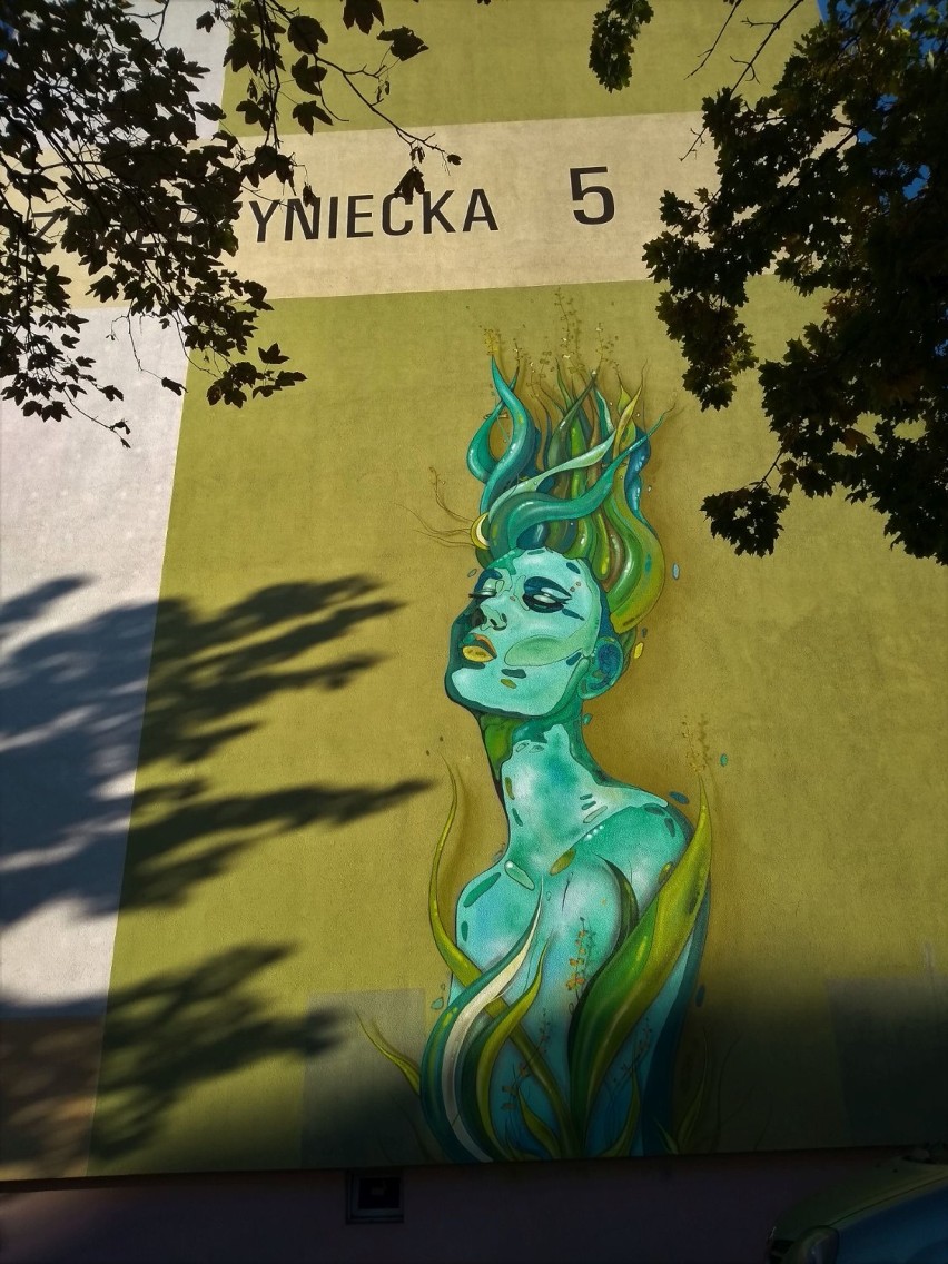 Ul. Zwierzyniecka 5. Mural Matka Natura - Biała