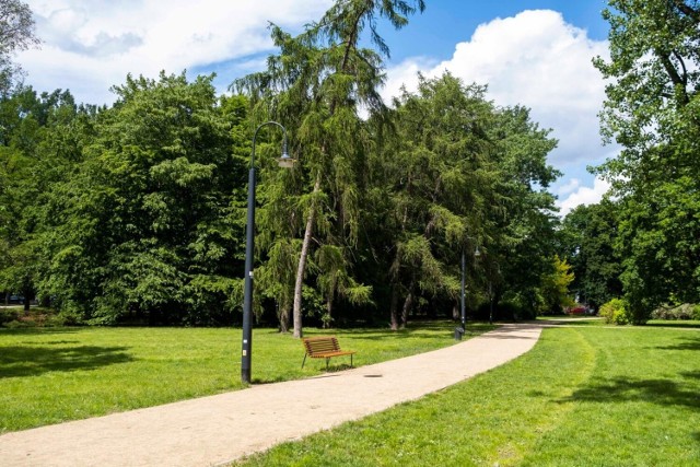 W Warszawie i pod Warszawą nie brakuje pięknych kompleksów leśnych z trasami spacerowymi, rowerowymi, pełnymi pomników przyrody, historii, a nawet atrakcji dla dzieci. Te leśne trasy w Warszawie i okolicach nadają się w sam raz na weekendowy spacer - to idealny sposób na powitanie wiosny.