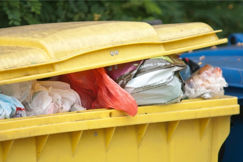Gdynia: Problem z segregacją śmieci nadal ma wielu mieszkańców. Samorządowcy uruchomili wyszukiwarkę, która podpowie, gdzie wyrzucać odpady