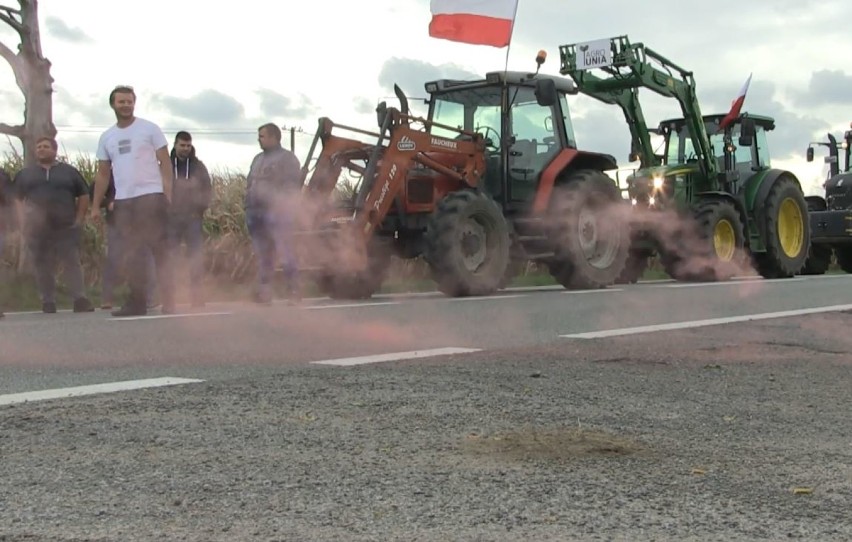 Protest rolników w Kutnie. "Zarżnąć byka, nie rolnika"  (ZDJĘCIA) 