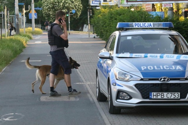 Policja wyjaśnia sprawę próby porwania lub uprowadzenia dziewczynki z placu zabaw w Sosnowcu. Informacje dotyczą incydentu prz SP 45 w Sosnowcu.