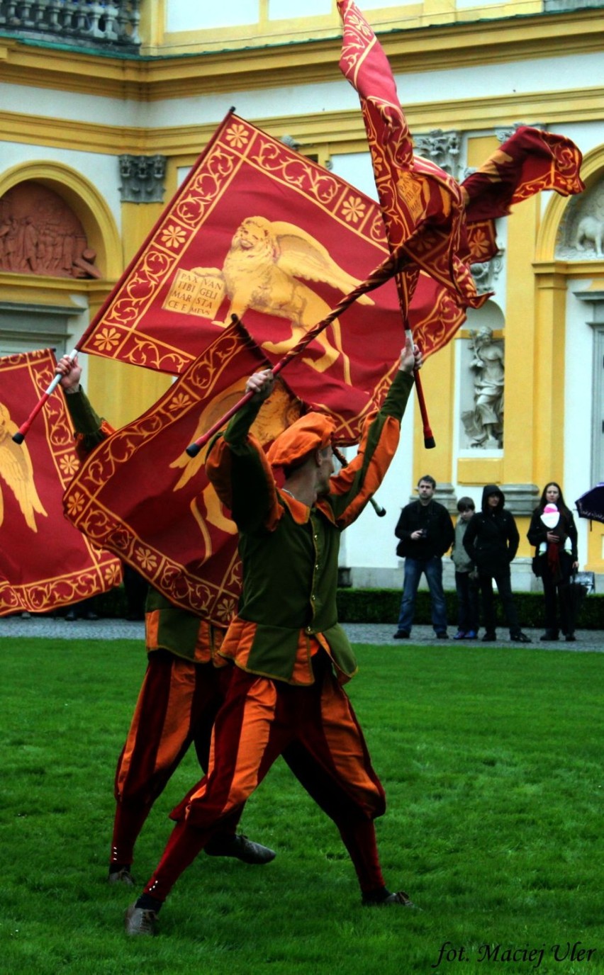 Pokazy podczas IV Festiwalu Chorągwi