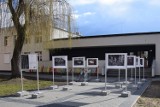 Opalenica. Centrum Kultury i Biblioteka zaprasza do Galerii Pod Chmurką