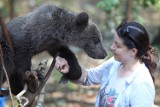 Zoo w Poznaniu: Cisna i Bari pokazali się gościom ogrodu [ZDJECIA]