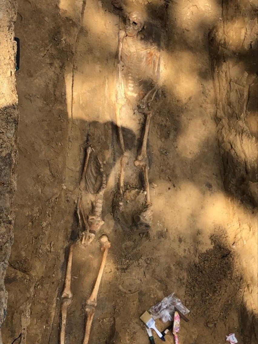 Ludzkie szkielety odkryto w Działoszynie w trakcie przebudowy drogi. Trwają badania archeologiczne FOTO