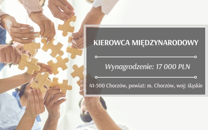 Oferta pracy w woj. śląskim za 17 tys. zł. miesięcznie? Sprawdź! Pracodawcy szukają kierowców, lekarzy, grafików i budowlańców