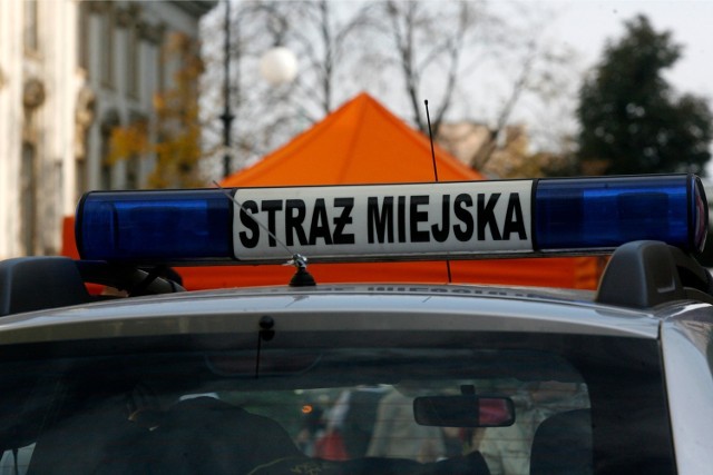 Rejonowi strażnicy miejscy w Płocku - sprawdź telefon kontaktowy