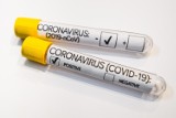 Koronawirus. Lubelskie z dużą liczbą przypadków. Blisko 1100 nowych zakażeń w kraju